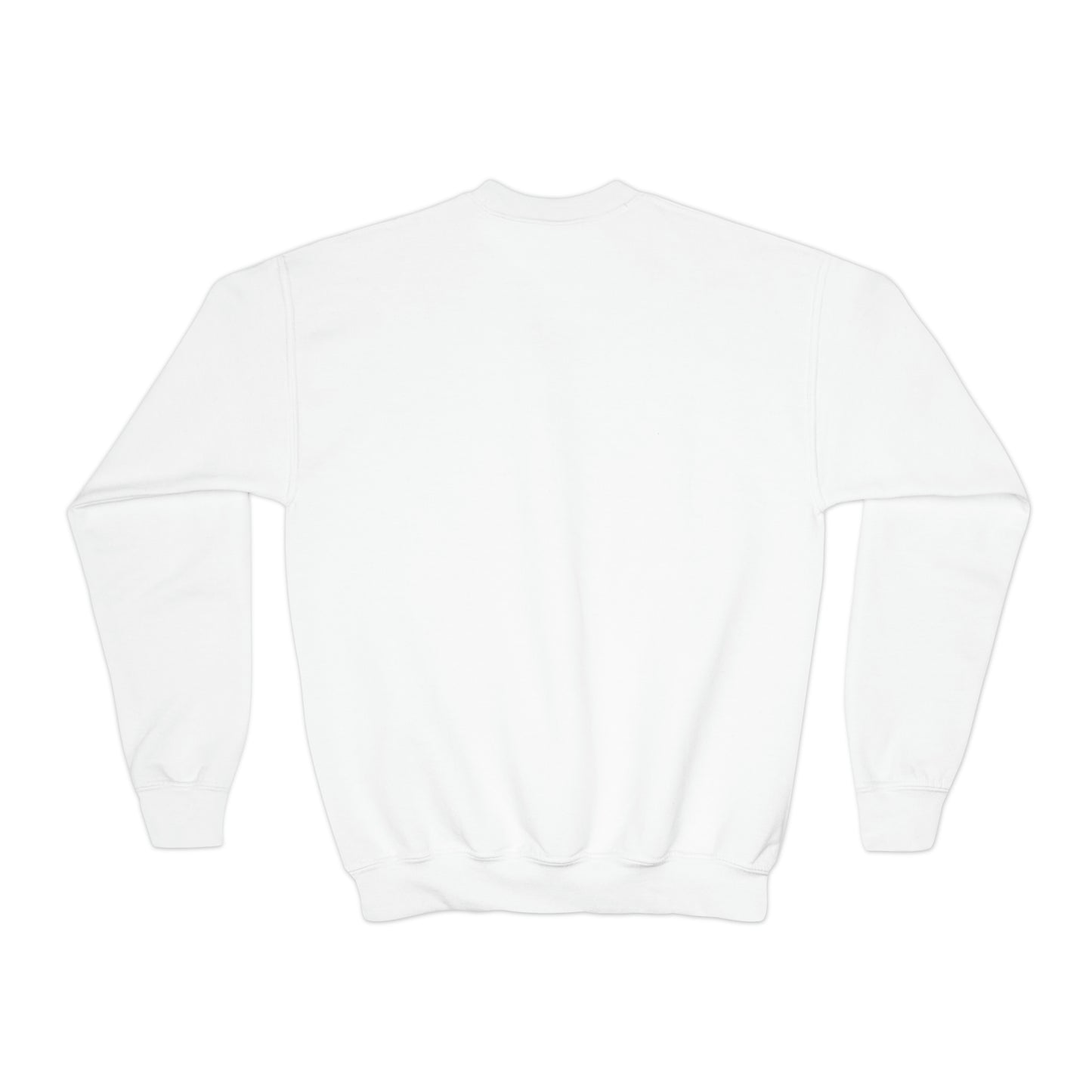 Zipline Puff City Crewneck Sweatshirt