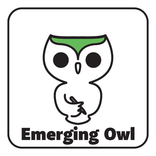 Z Emerging Owl (Ages 13-18)