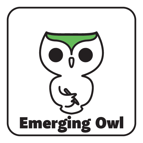 Emerging Owl (Ages 13-18)
